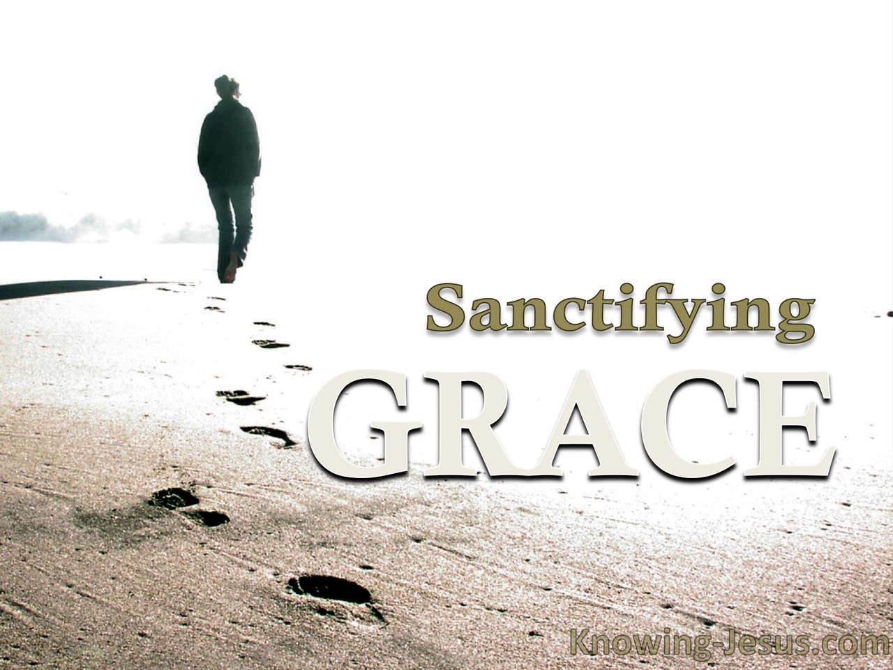 Sanctifying Grace (devotional)05-14 (white)